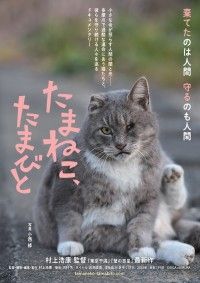 たまねこ、たまびと